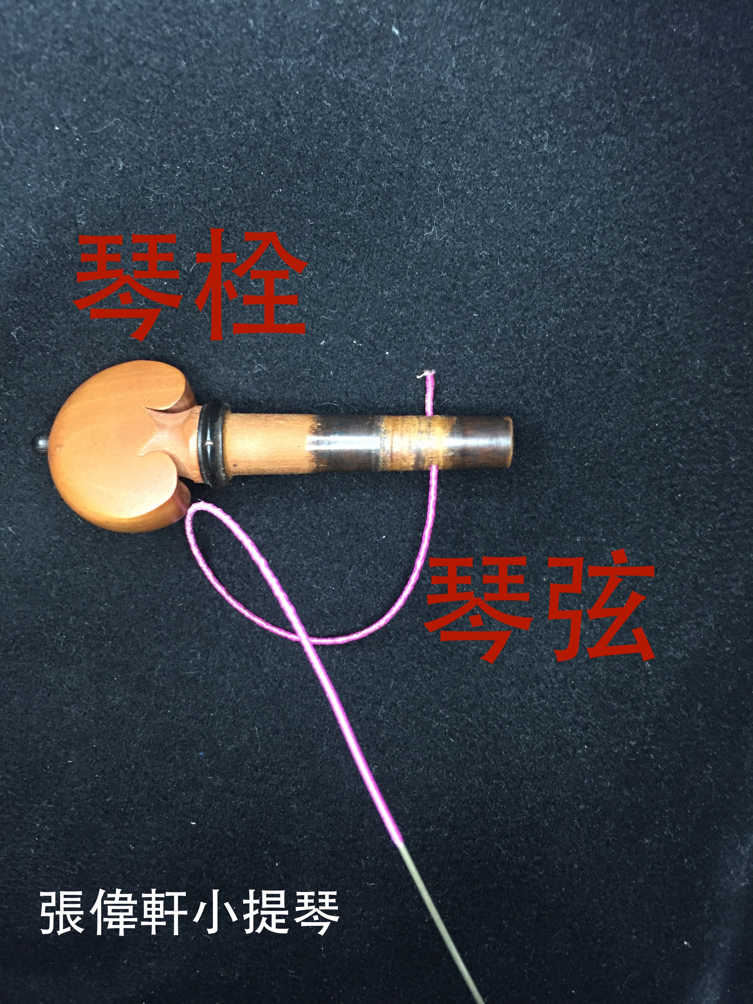 小提琴如何換弦?正確的換弦方法、順序大公開 @
張偉軒小提琴